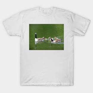 Canada Geese T-Shirt